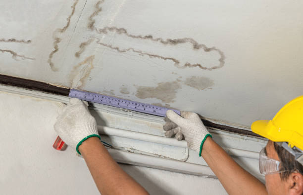 Reliable Water Damage contractor in Murray City, OH by Water Damage Irwin